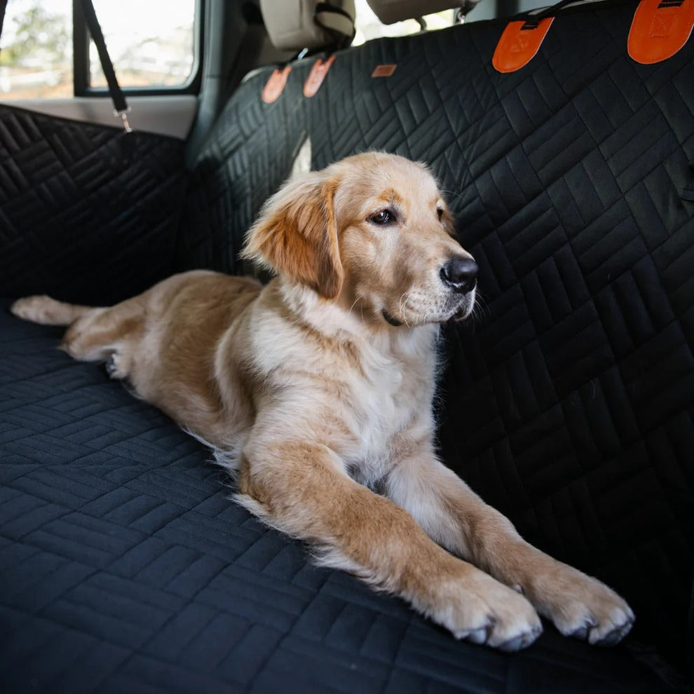Paw Seat Protector