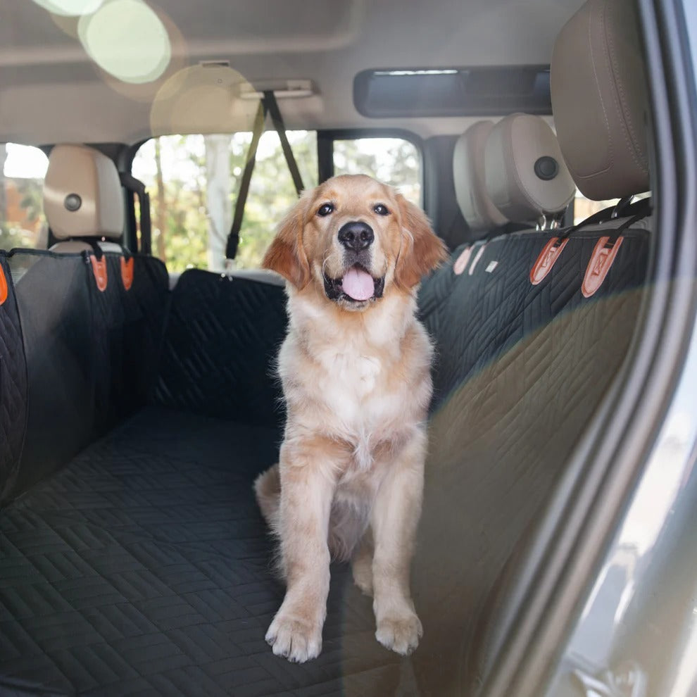 Paw Seat Protector