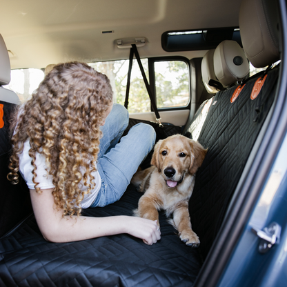Paw Seat Protector