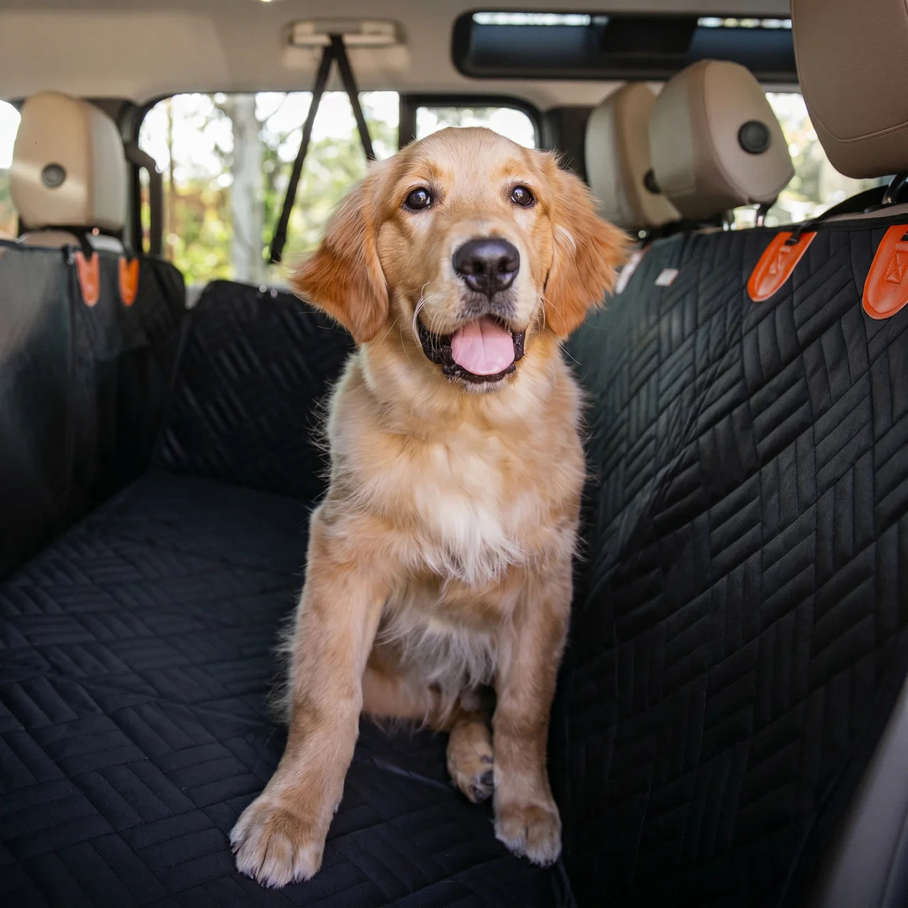 Paw Seat Protector