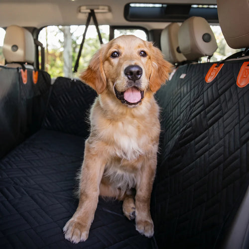 Paw Seat Protector